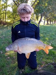 Common Carp
