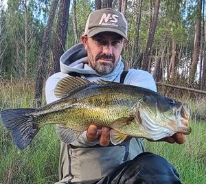 Largemouth Bass