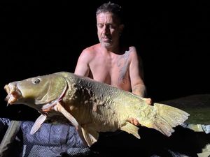 Mirror Carp
