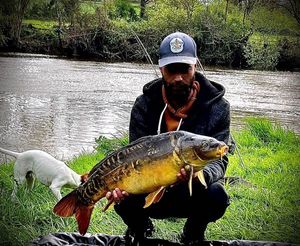 Mirror Carp