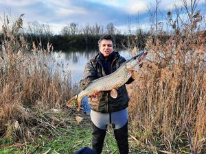 Chain Pickerel