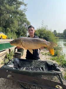 Mirror Carp