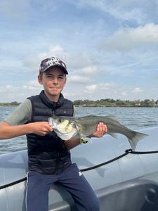 European Bass (Seabass)
