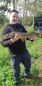 Northern Pike