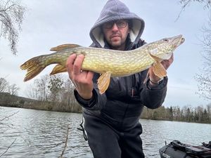 Northern Pike