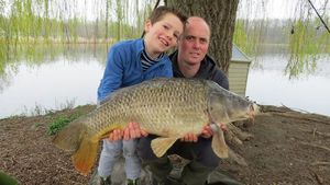 Common Carp