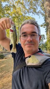 Largemouth Bass