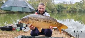 Mirror Carp
