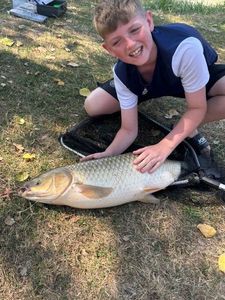 Grass Carp