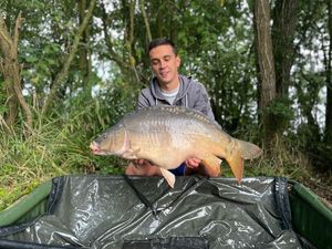 Mirror Carp