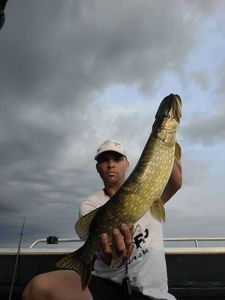 Northern Pike