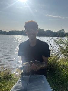 Largemouth Bass