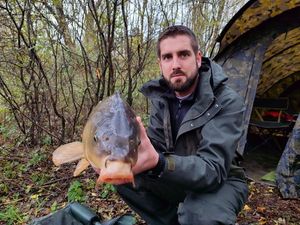 Common Carp