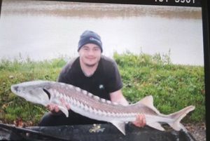 Sturgeon