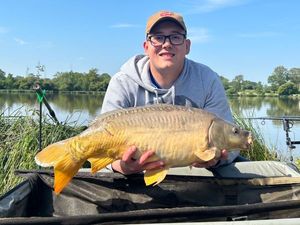 Mirror Carp