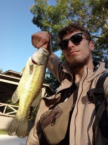 Largemouth Bass