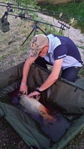 Mirror Carp