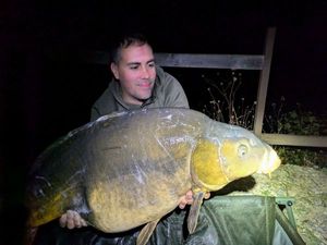 Common Carp
