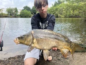 Mirror Carp