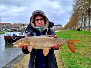 Barbel