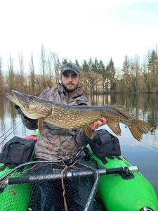 Northern Pike