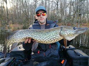 Northern Pike