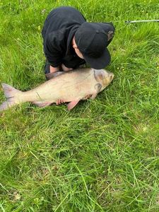Silver Carp