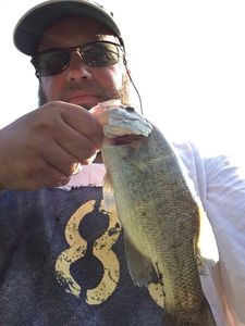 Largemouth Bass