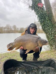 Mirror Carp