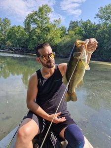 Largemouth Bass