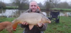 Common Carp