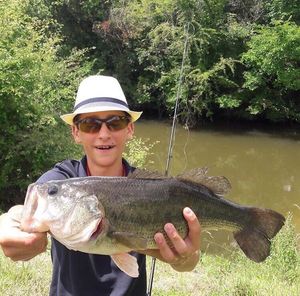 Largemouth Bass