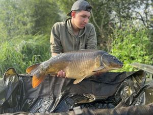 Mirror Carp