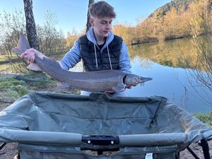 Sturgeon