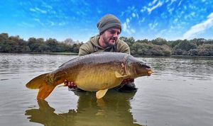 Mirror Carp
