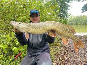 Northern Pike