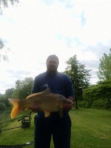 Common Carp