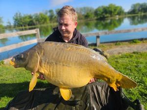 Mirror Carp
