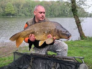 Common Carp