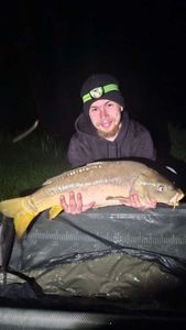 Mirror Carp