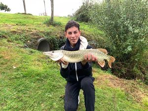 Northern Pike