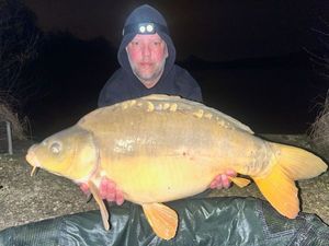Mirror Carp