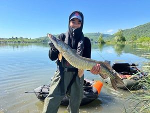 Northern Pike