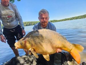 Mirror Carp