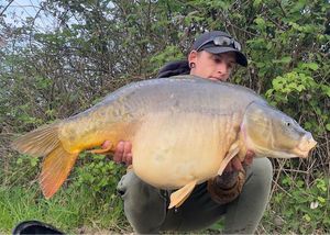 Mirror Carp