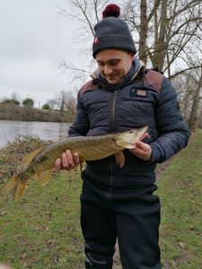 Northern Pike