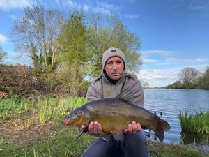 Tench