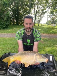 Mirror Carp