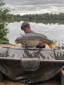 Mirror Carp