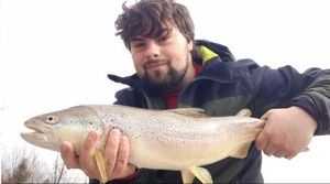 Marble Trout